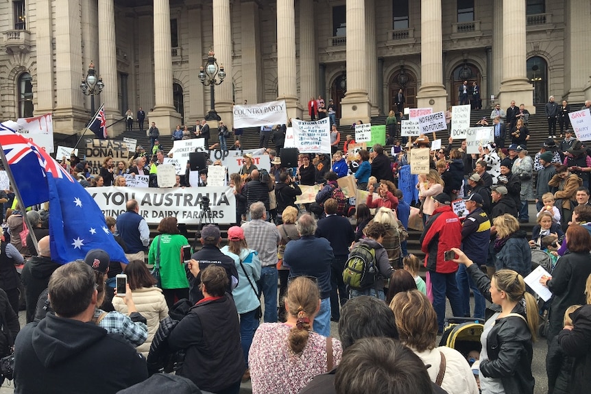 People standing on the steps of the Victorian parliament holding signs calling for support for dairy farmers