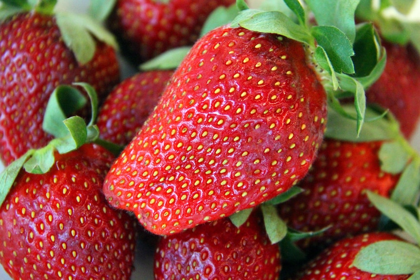 Strawberries sit in a bowl.