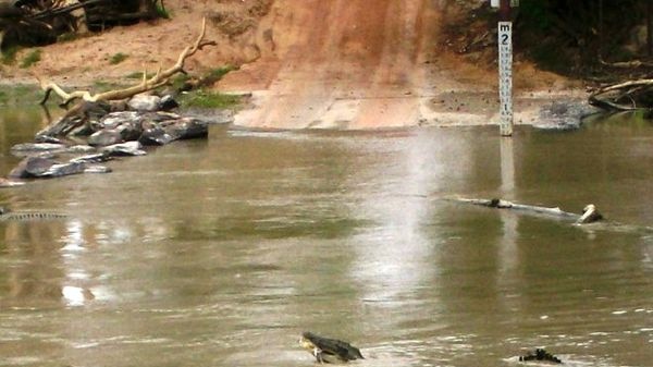 Drunks make a splash at dangerous river crossing