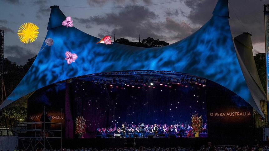 Opera in the Domain. (Supplied: Opera Australia)