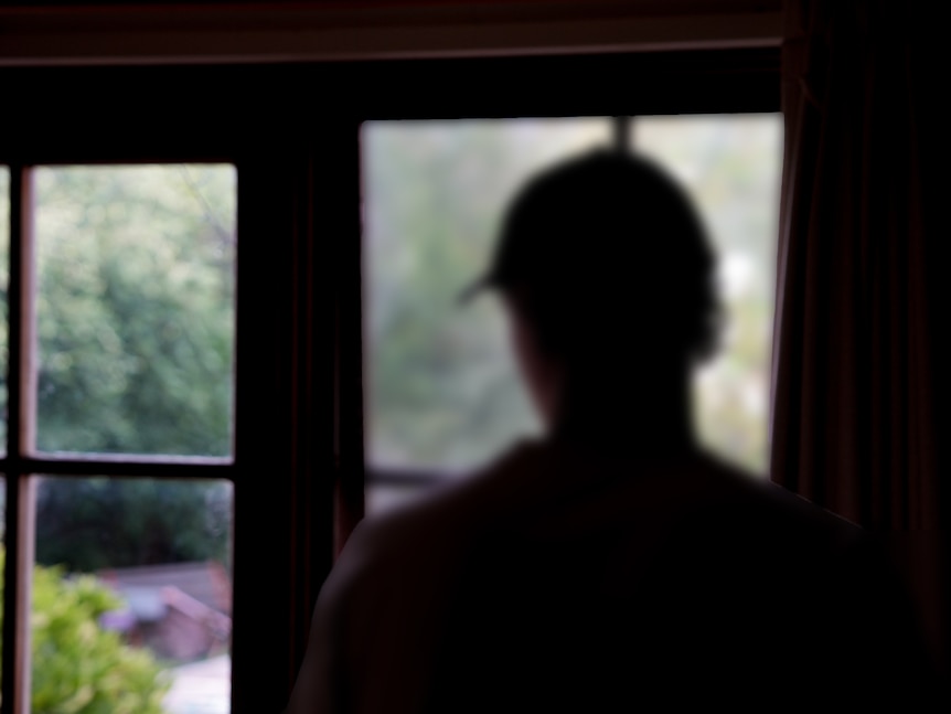 A man stands in shadow, wearing a cap and looking out the window into a garden. The photo is taken from behind.