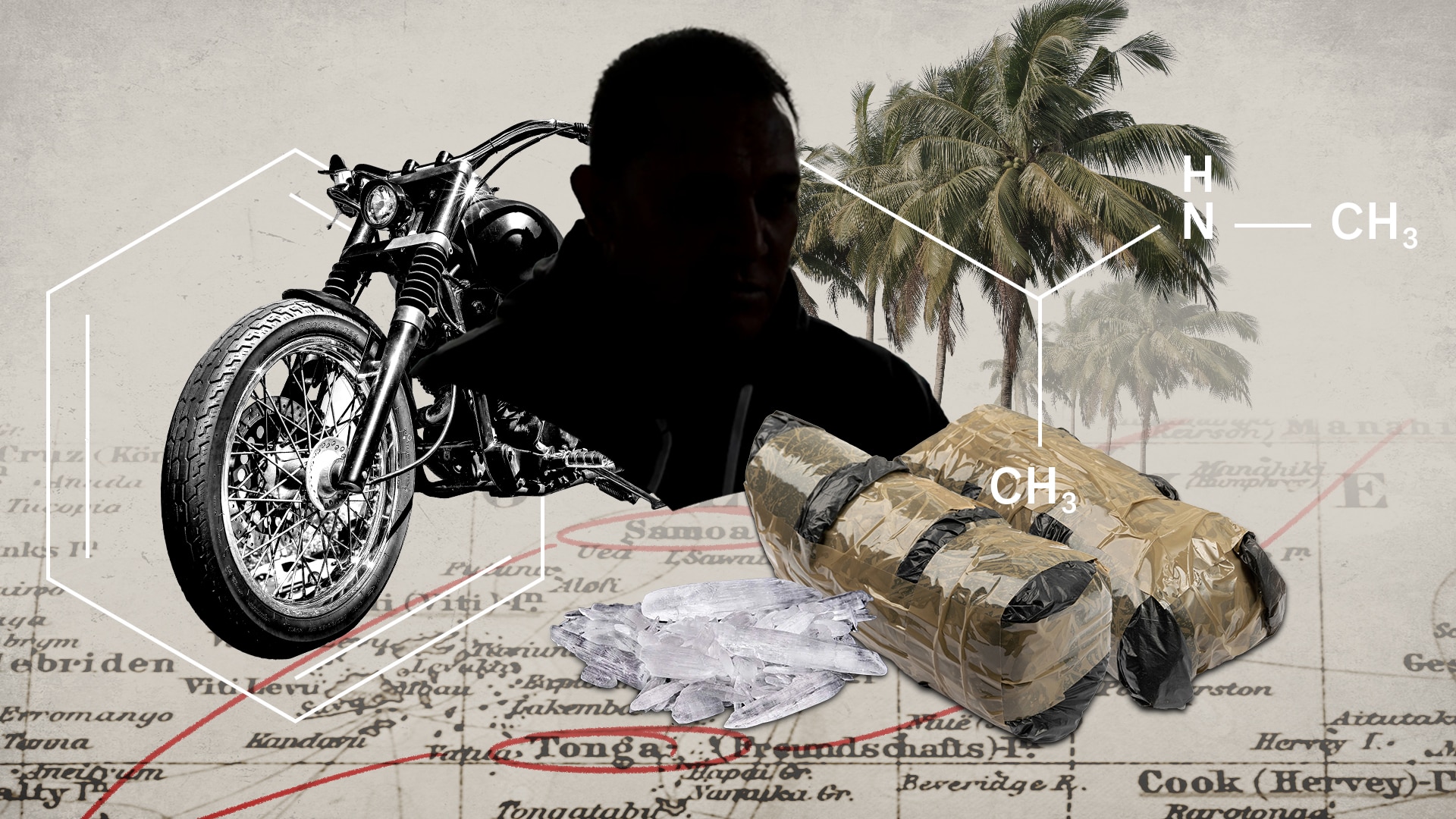 Drugs concealed inside box of frozen chicken prompts Samoan government to act