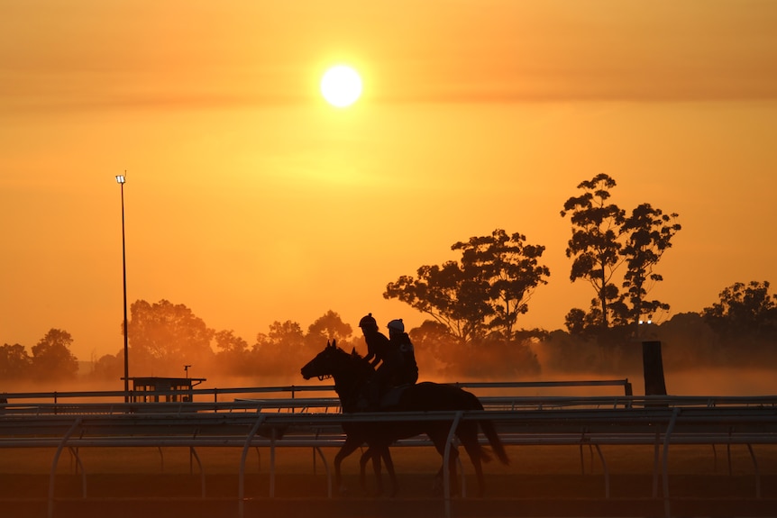 The silhouette of two trackwork riders on horses as the sun rises.