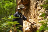 An Indigenous man touching a tree