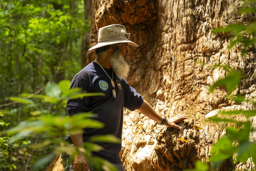 An Indigenous man touching a tree