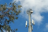 A combined NBN fixed wireless and mobile phone tower in Numeralla, NSW