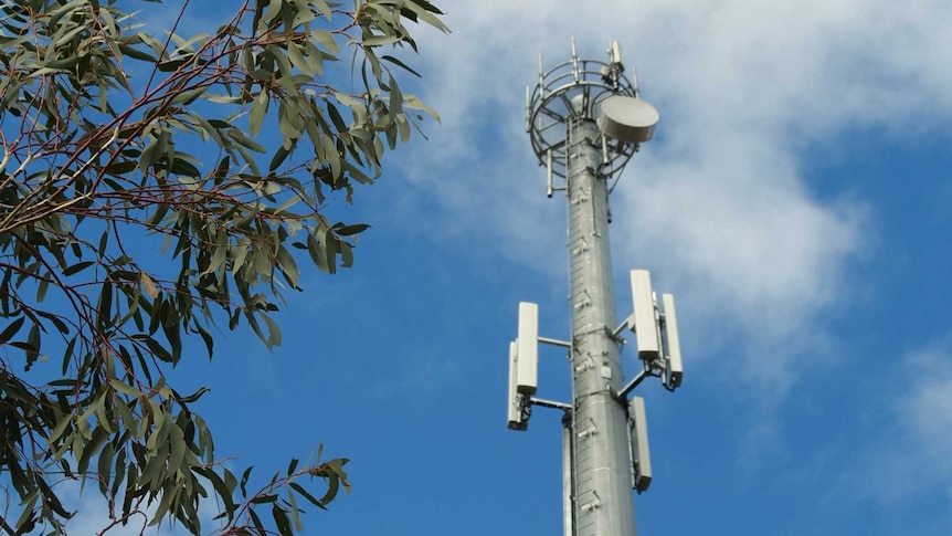 A combined NBN fixed wireless and mobile phone tower in Numeralla, NSW