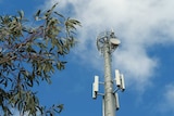 A tall tower, shot from below, against a cloudy blue sky. There are gumleaves in the foreground.