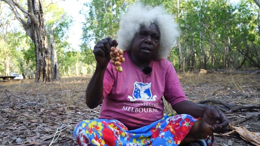 Aboriginal woman holds native fruit