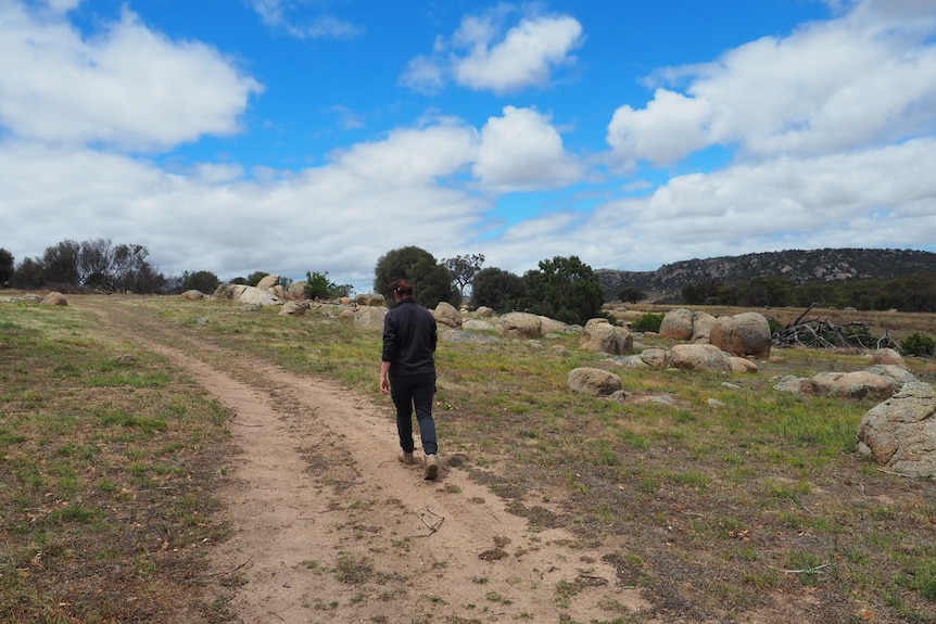 A woman walks up a sandy track on a grassy hill littered with small rock boulders.