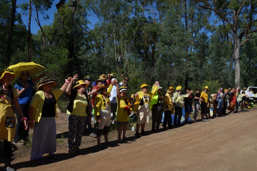 Knitting Nannas protested near Santos plant in northern New South Wales