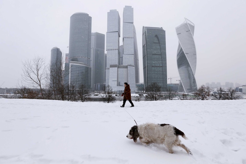 A woman walks her dog in the snow near the moscow business centre