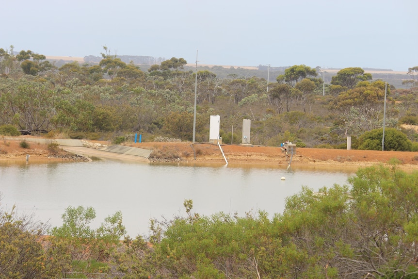 A blue dam and pump, surrounded by small trees