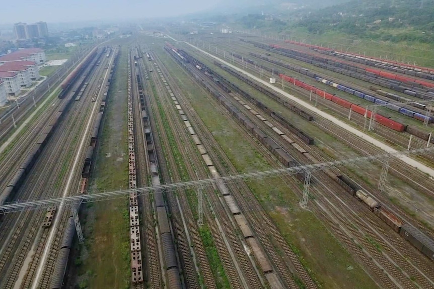 Goods trains on multiple parallel tracks.