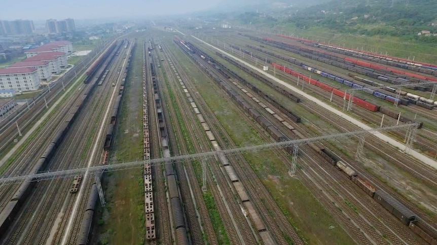 Goods trains on multiple parallel tracks.