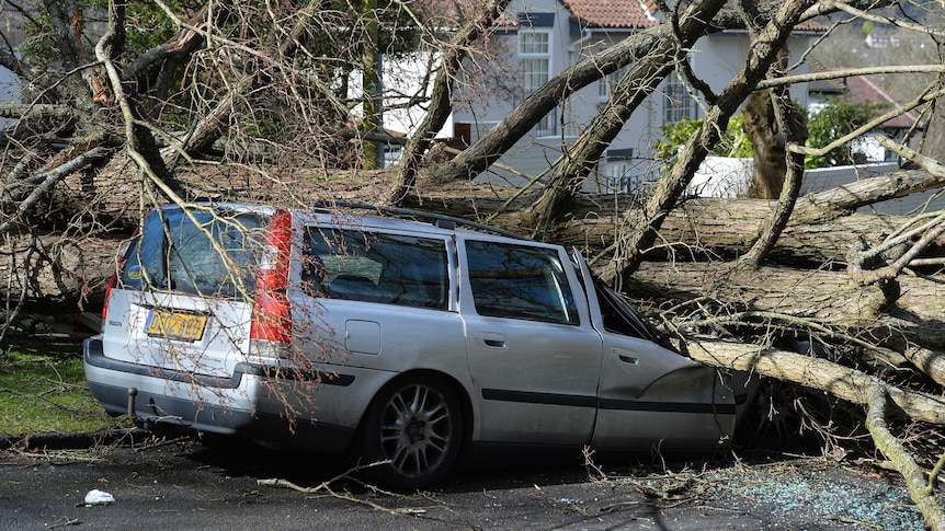 A tree that fell in high winds brought by Storm Katie lies across a car.