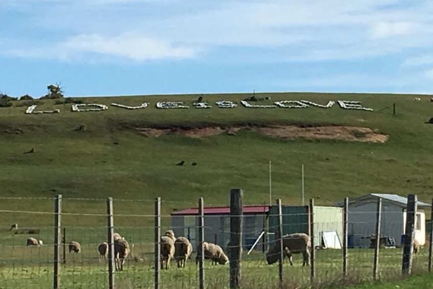 Hillside sign spelling Love Is Love.