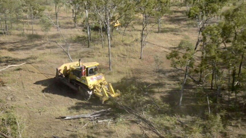 A bulldozer tree clearing in the at the station in 2015.