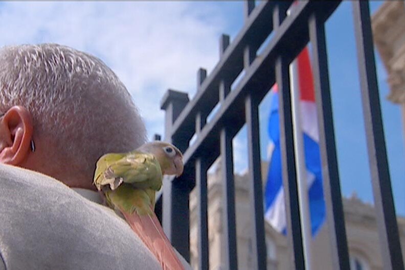 Pro-Castro parrot in Washington