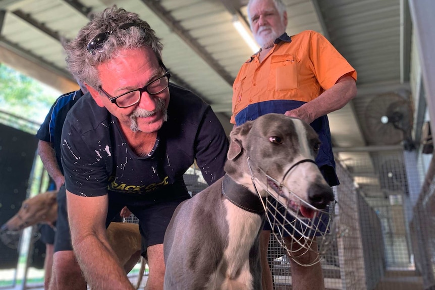 Trainer Richard Smith holds a greyhound with another man in an orange shirt watching on