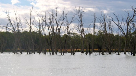 The Victorian Government says the states do have a role in water management.