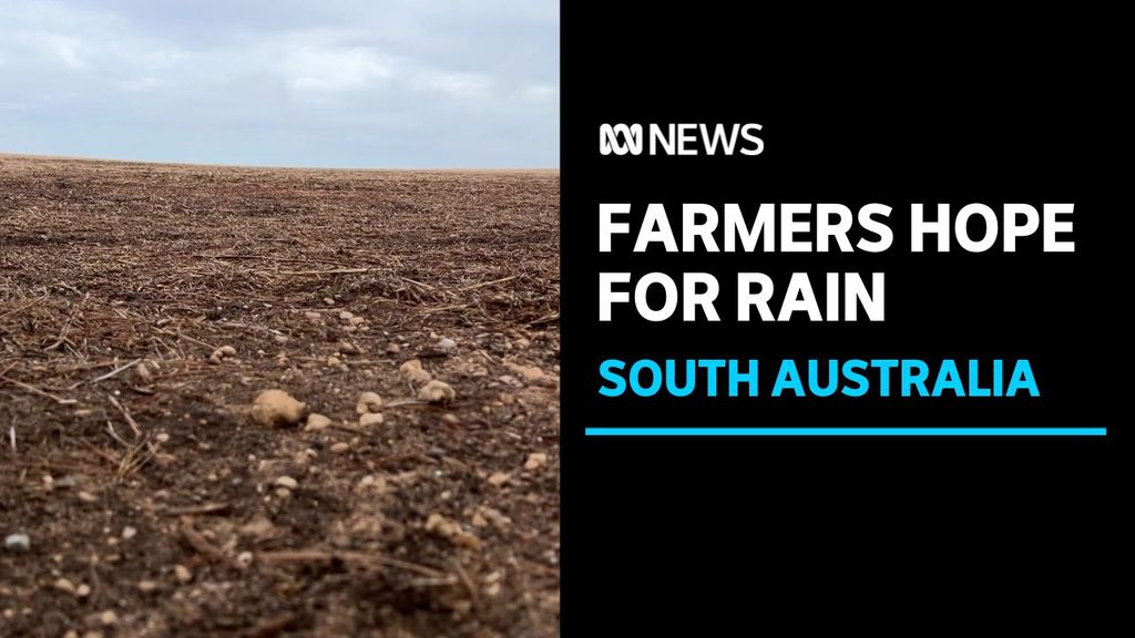 After record dry autumn SA farmers hope for rain - ABC News