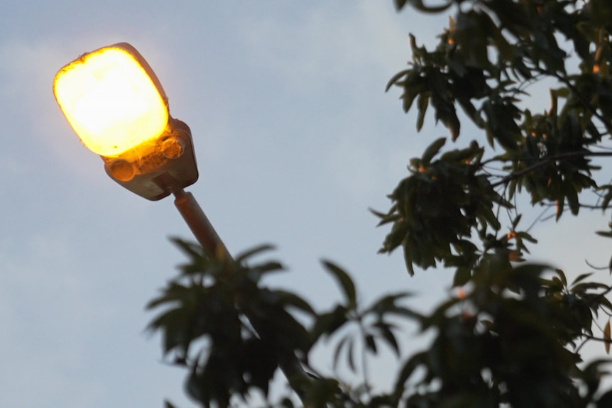 A lamp post surrounded by trees as the sun sets.