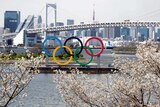 A view across a harbour in Tokyo, past blossom trees, with the Olympic rings in the distance.