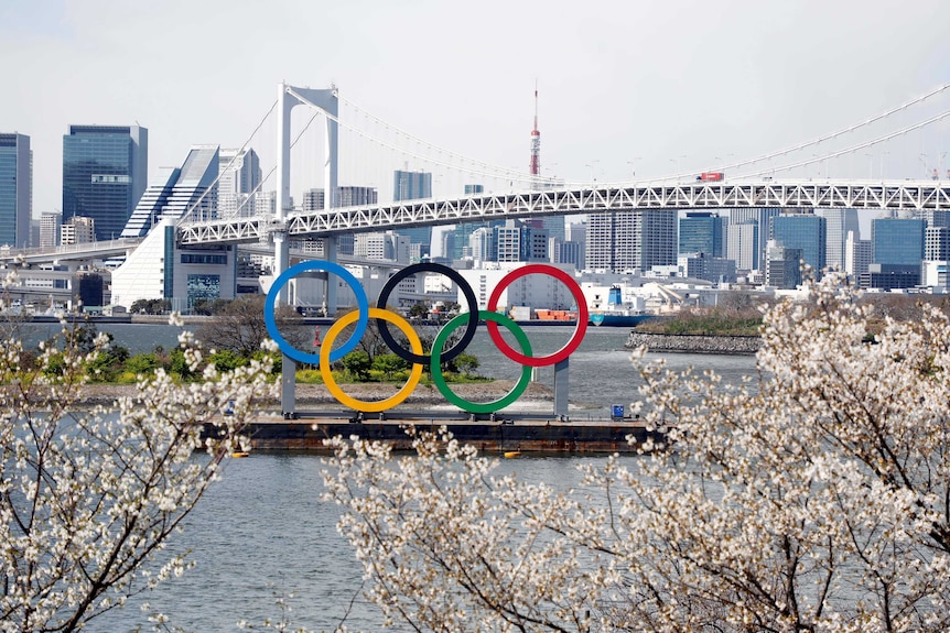 A view across a harbour in Tokyo, past blossom trees, with the Olympic rings in the distance.