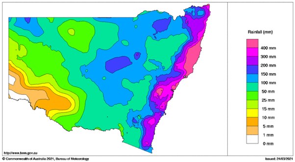 A map of NSW showing intensity of rainfall and a coloured legend; nearly all of coast is pink, indicating rainfall above 200 mm
