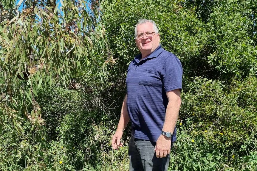 An elderl man in a blue collared shirt with glasses smiles. He is standing in front of bushes. it is sunny.