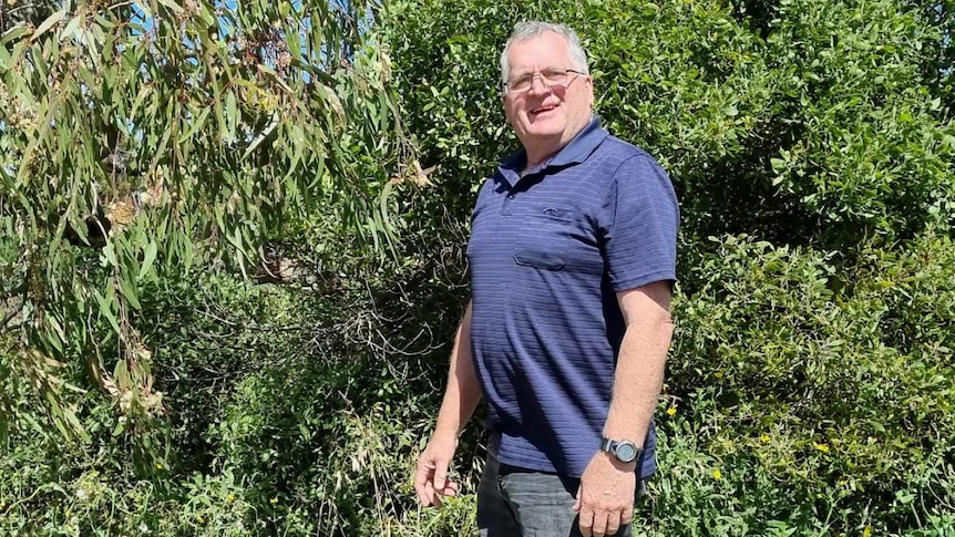 An elderl man in a blue collared shirt with glasses smiles. He is standing in front of bushes. it is sunny.