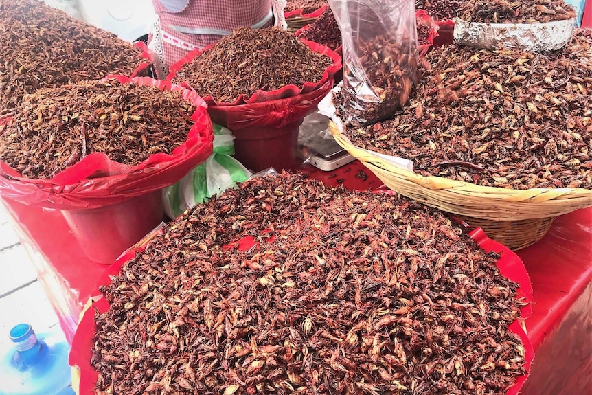Piles of fried insects in baskets at a market stall.