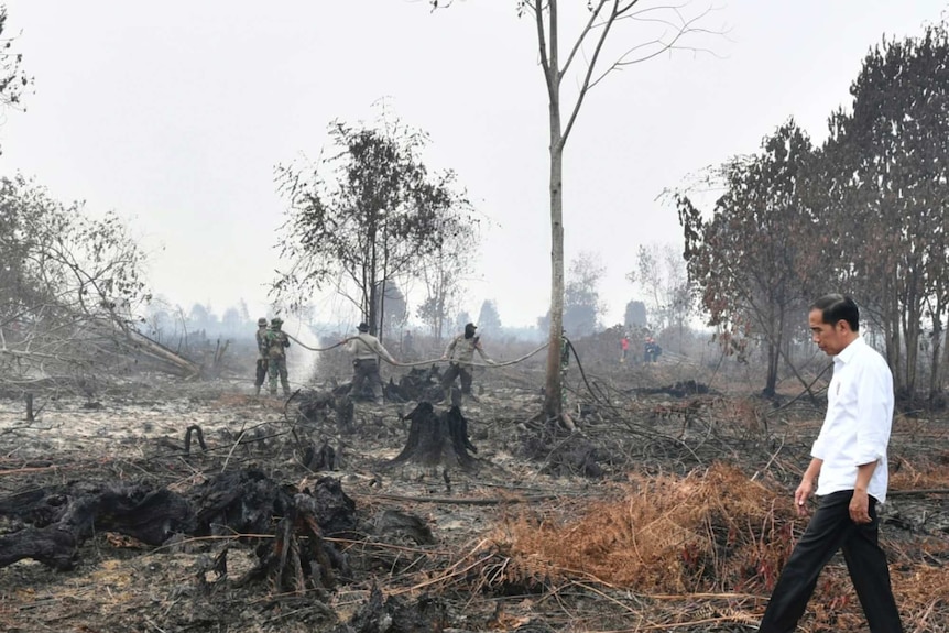 Indonesian President Joko Widodo walks on a burnt forest as firefighters are seen spraying water