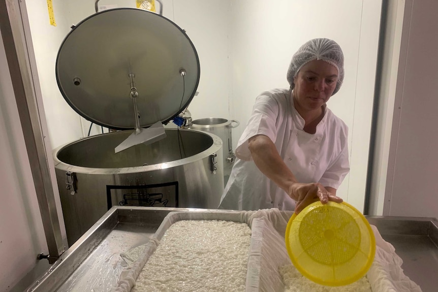A woman pours halloumi cheese from a vat into a tray.