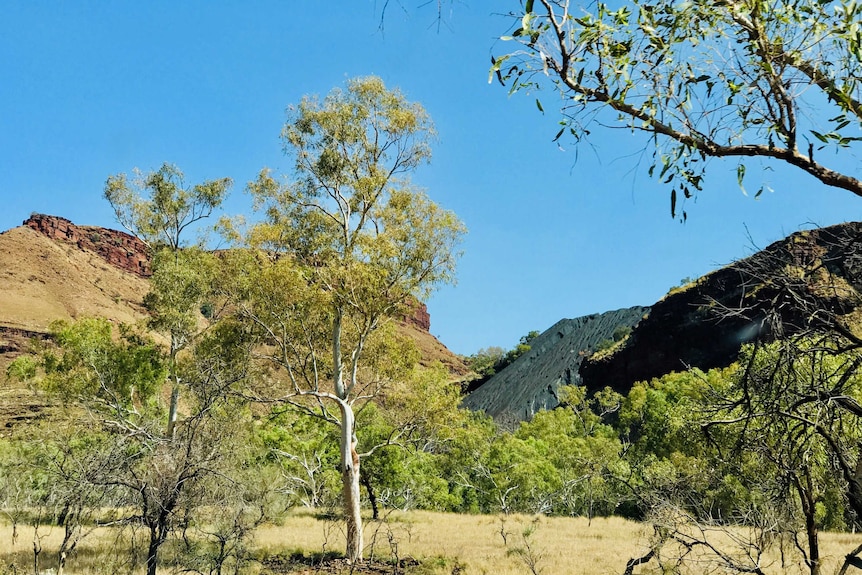 Tailings dumps in Wittenoom Gorge.jpg