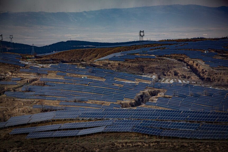 在中国的煤炭中心地带大同，山顶上布满了太阳能电池板。