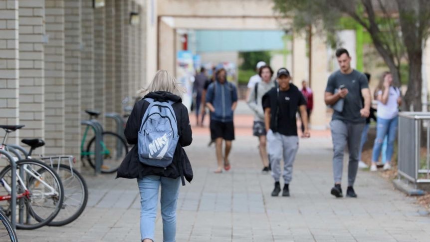 A generic photo of university students