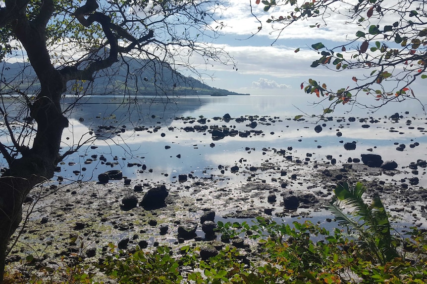 A Mauritius river system shows rocks coated in oil with a mountain vista in the background