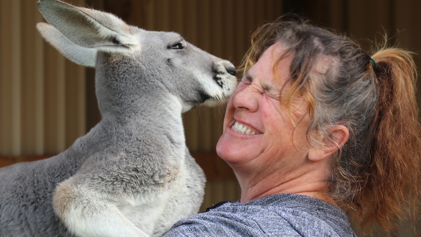 Close up of lady on right holding kangaroo up, kangaroo giving her a kiss