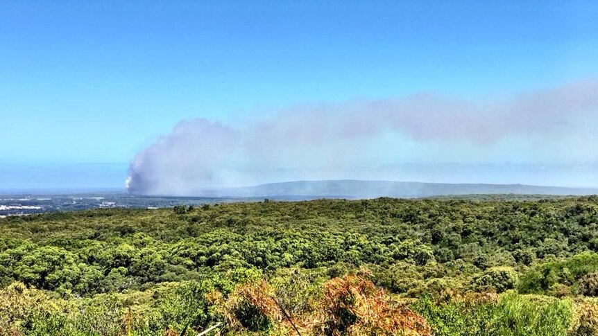 A plume of smoke rises above bushland.