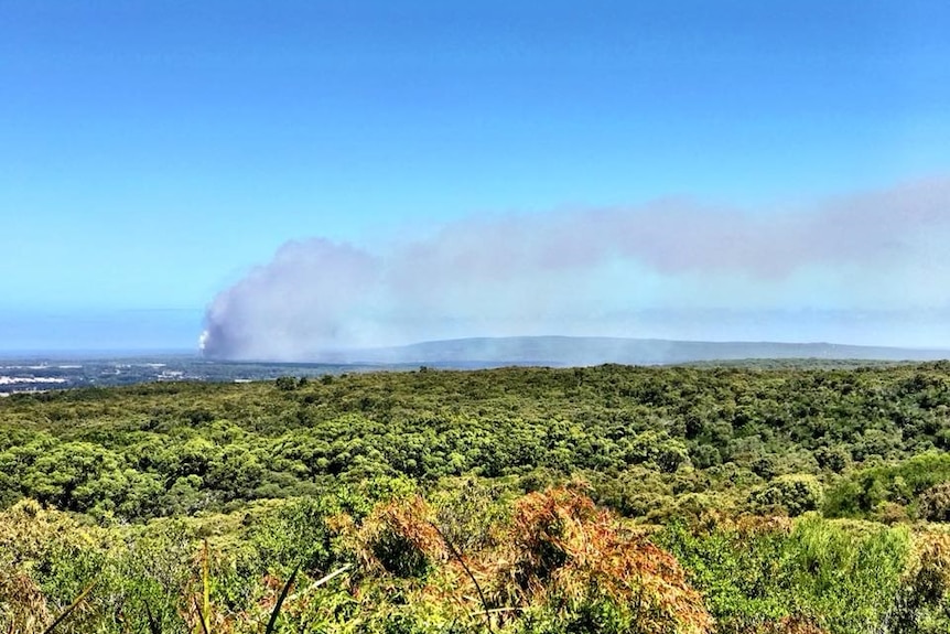 A plume of smoke rises above bushland.