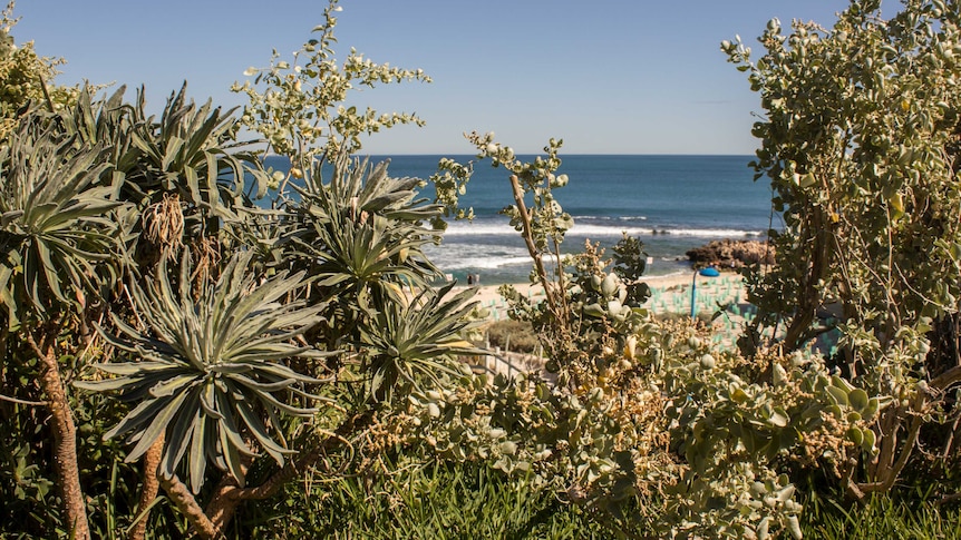 The view from the garden at the Trigg beach house.