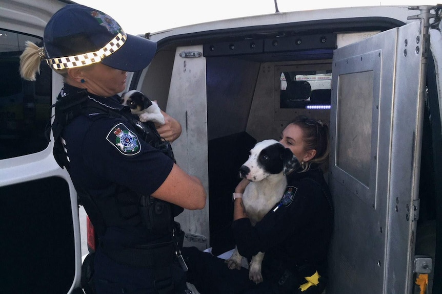 Police officers giving two dogs a cuddle