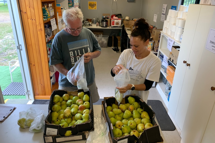 Two volunteers putting pears from boxes into plastic bags to be delivered to flood victims