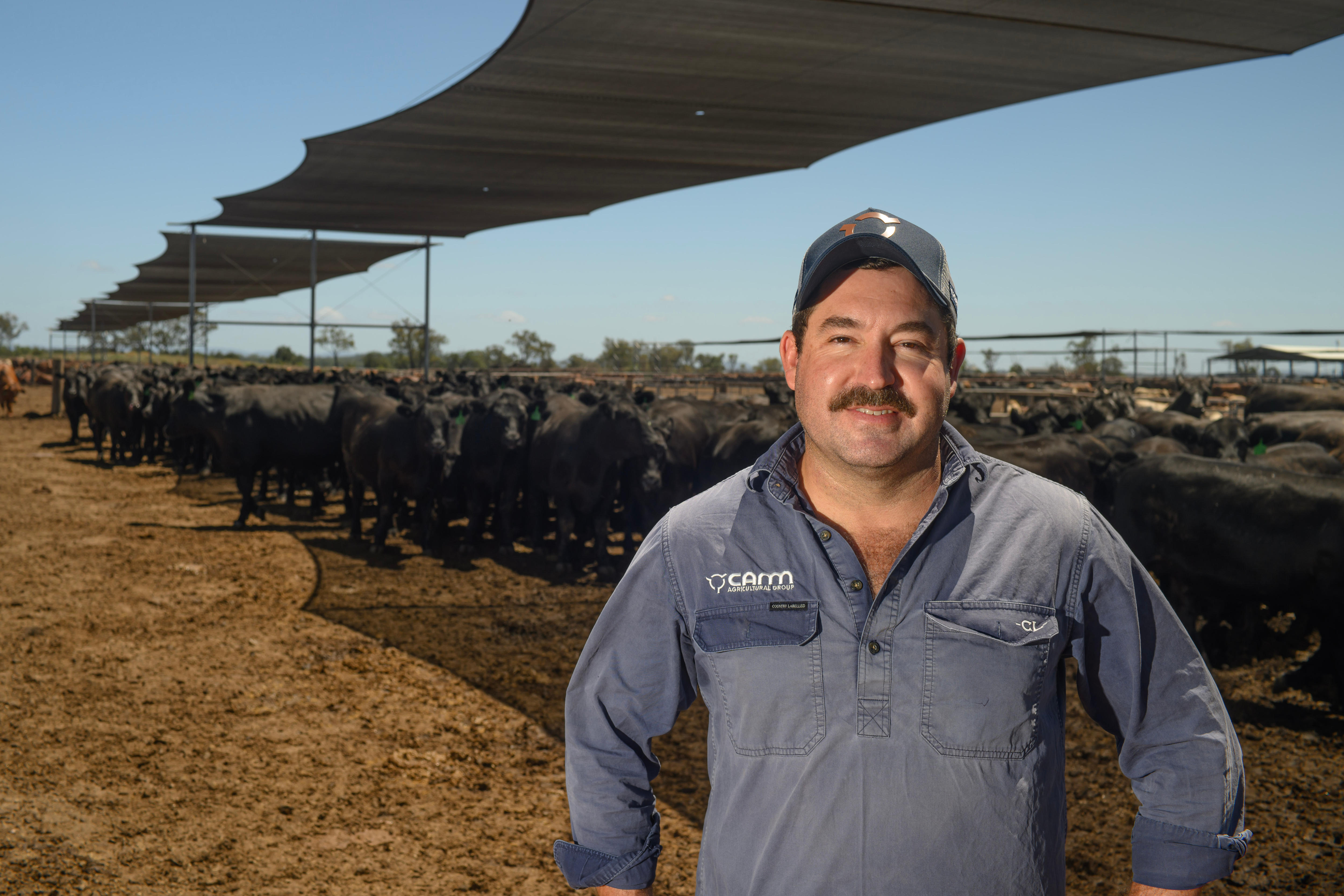 um homem de chapéu e camisa azul sorri na frente do gado