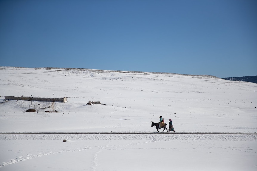 Two adults, a child and a donkey walk in the distance through a snowy white mountainscape.