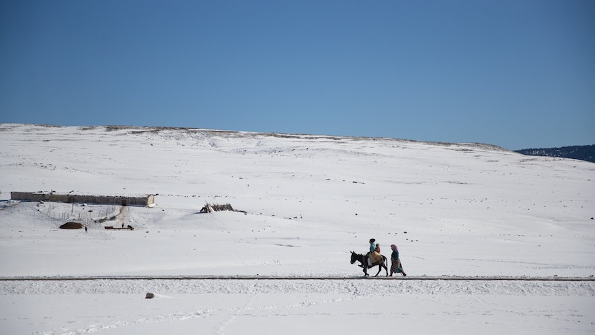Two adults, a child and a donkey walk in the distance through a snowy white mountainscape.