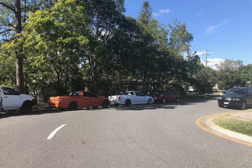 Cars parked next to a bank of trees on the boundary of the proposed Carol St development site in Springwood