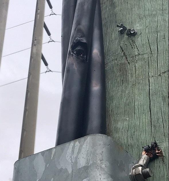 Plastic wire casing that has been split